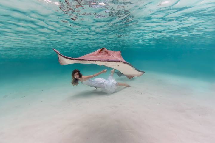 Một cô gái bơi lội dưới đại dương cùng chú cá đuối kích thước khổng lồ.